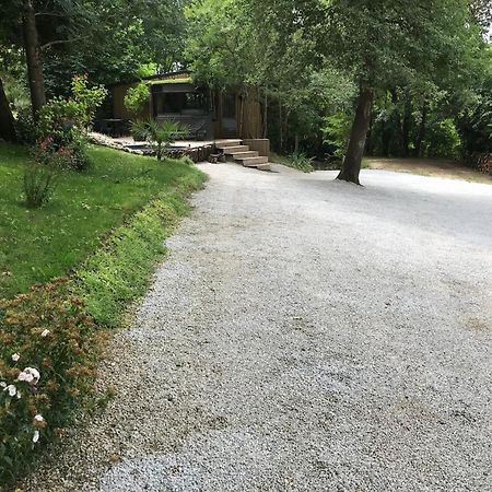 Bus Atypique Au Bord Du Canal Du Midi Et Au Coeur D'Une Foret 2 Chambres Villepinte  Dış mekan fotoğraf