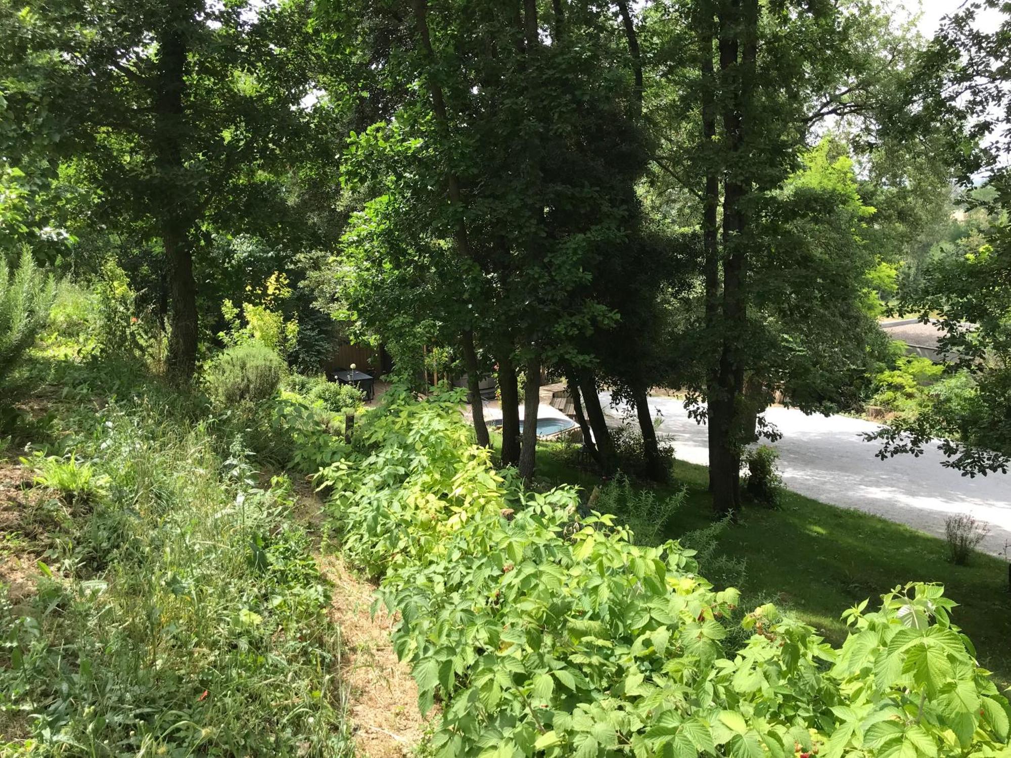 Bus Atypique Au Bord Du Canal Du Midi Et Au Coeur D'Une Foret 2 Chambres Villepinte  Dış mekan fotoğraf