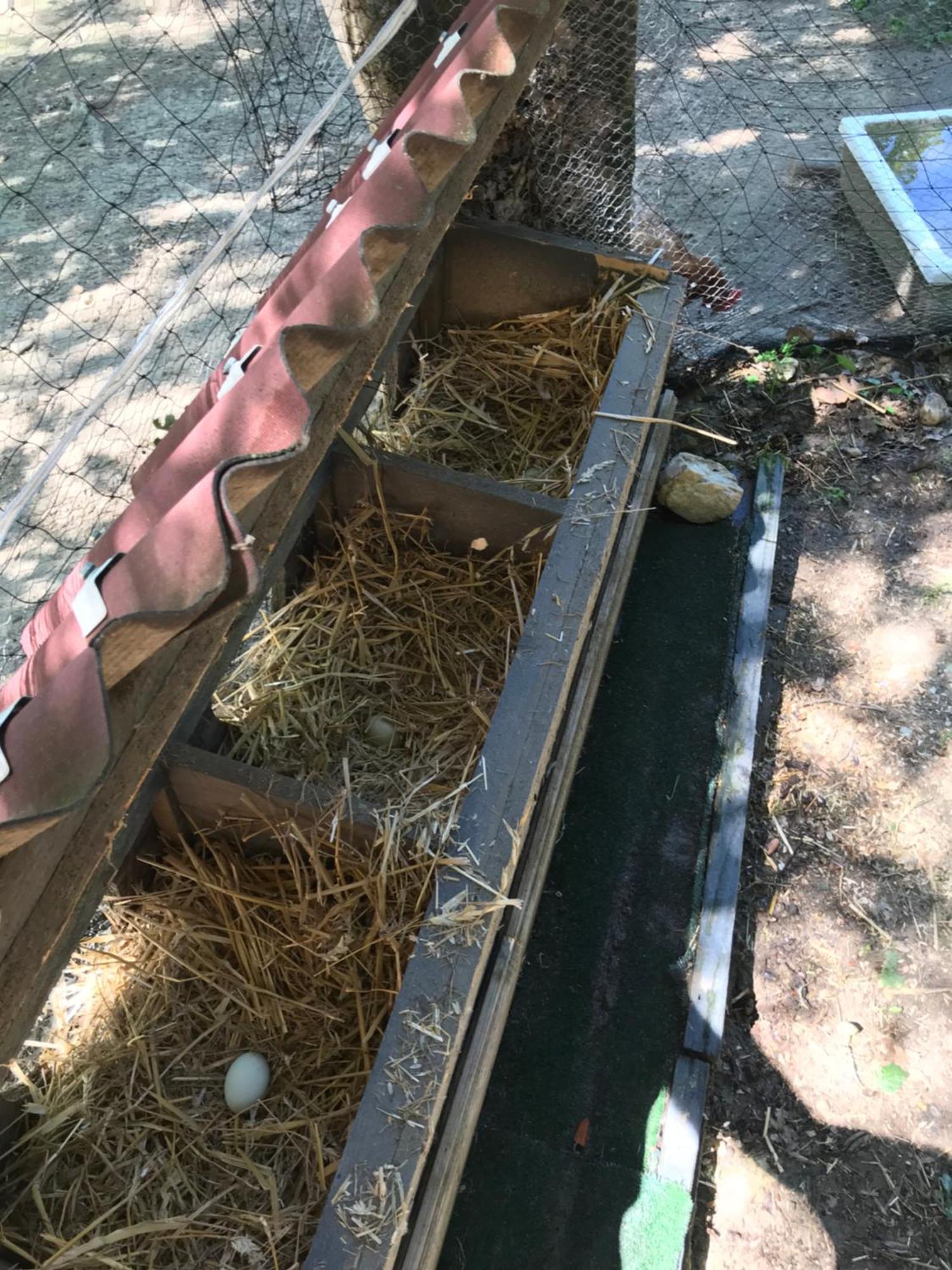 Bus Atypique Au Bord Du Canal Du Midi Et Au Coeur D'Une Foret 2 Chambres Villepinte  Dış mekan fotoğraf
