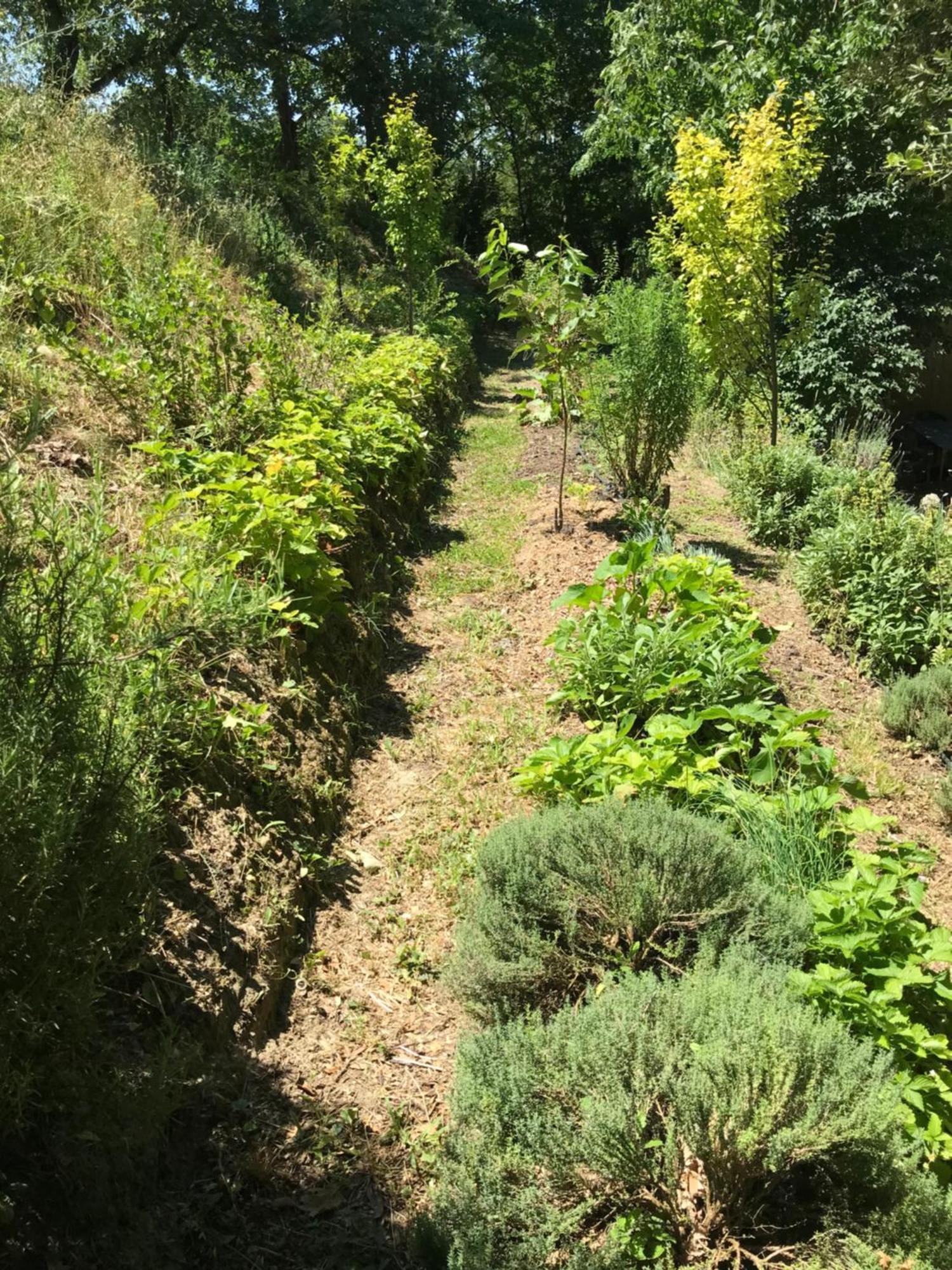 Bus Atypique Au Bord Du Canal Du Midi Et Au Coeur D'Une Foret 2 Chambres Villepinte  Dış mekan fotoğraf