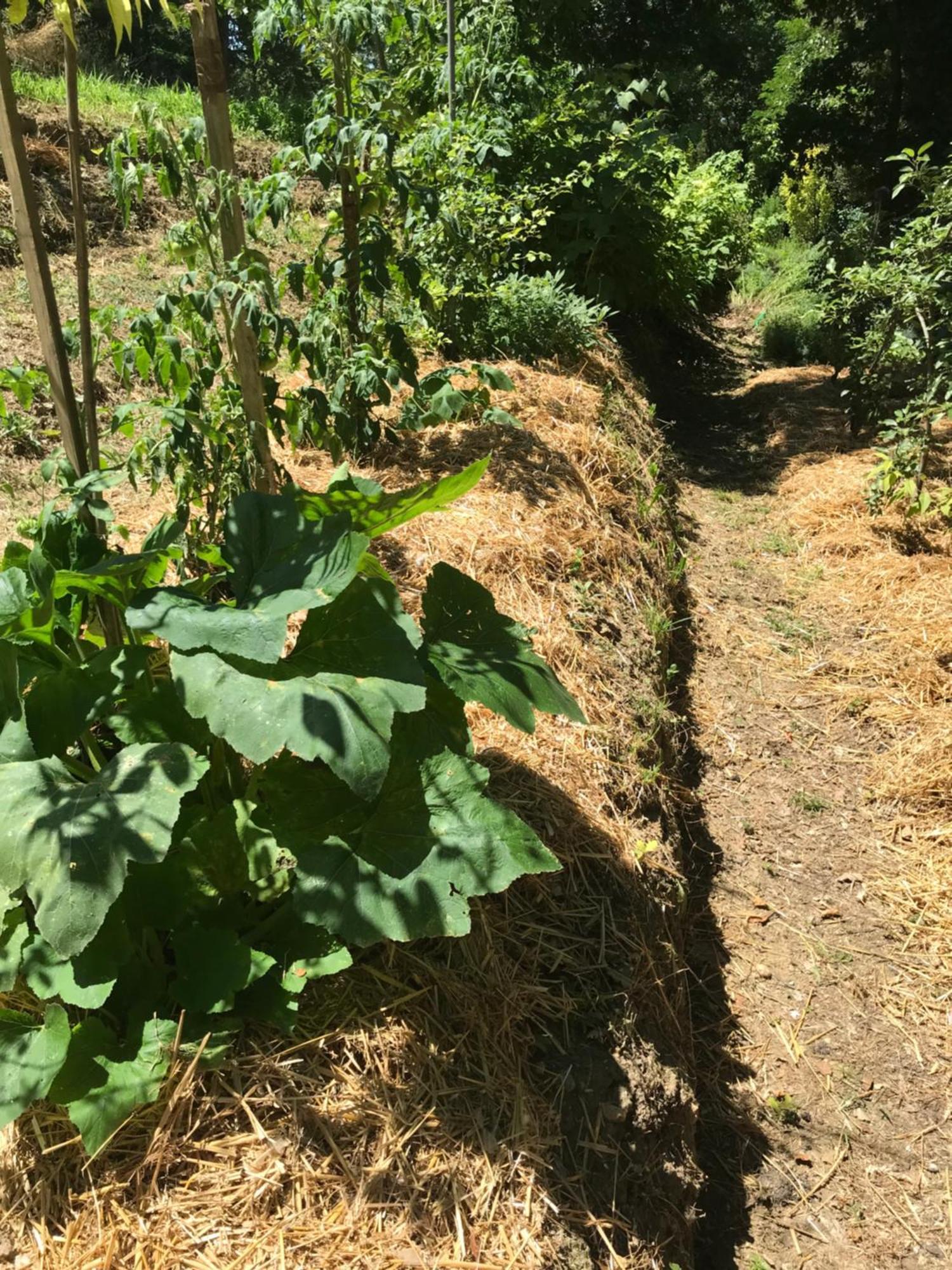 Bus Atypique Au Bord Du Canal Du Midi Et Au Coeur D'Une Foret 2 Chambres Villepinte  Dış mekan fotoğraf