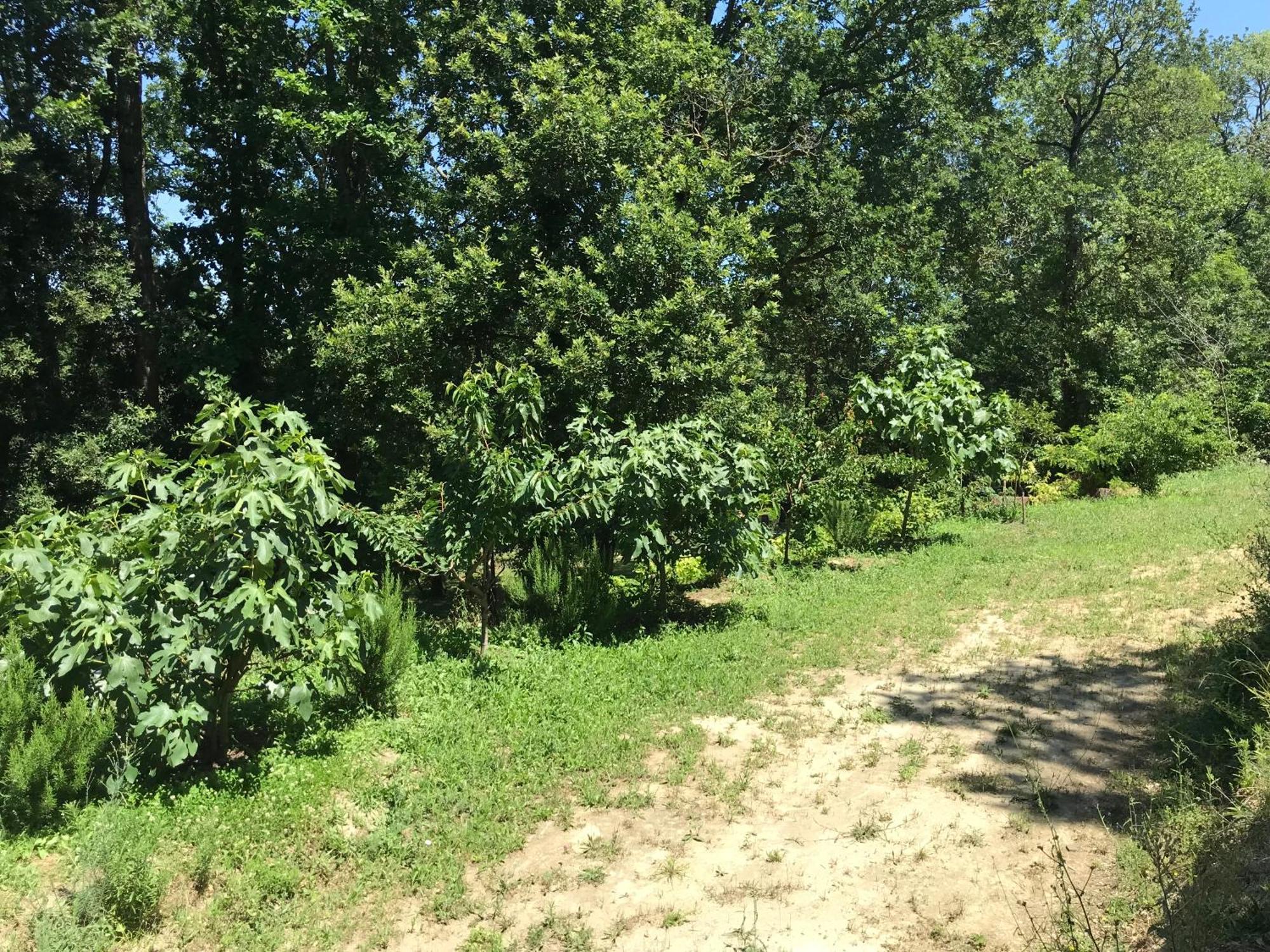Bus Atypique Au Bord Du Canal Du Midi Et Au Coeur D'Une Foret 2 Chambres Villepinte  Dış mekan fotoğraf