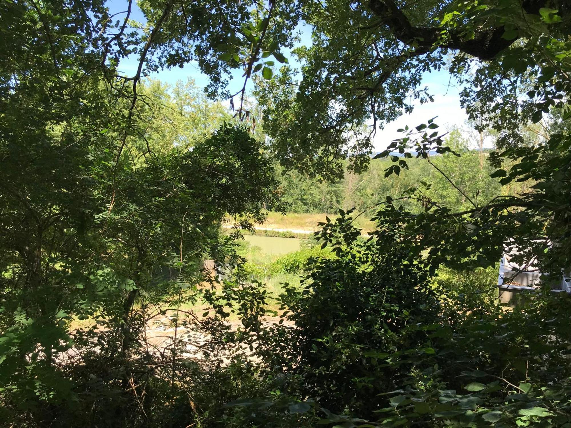 Bus Atypique Au Bord Du Canal Du Midi Et Au Coeur D'Une Foret 2 Chambres Villepinte  Dış mekan fotoğraf